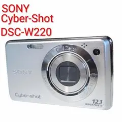 SONY Cyber-shot DSC-TX1 Carl Zeiss 付属品完備 - メルカリ