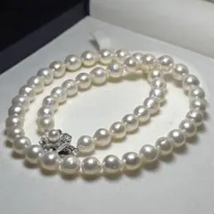 【大珠・テリ強】あこや真珠 本真珠 7.5〜8mm アコヤ パールネックレス