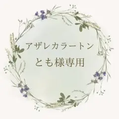 とも様専用アザレカラートーン