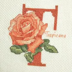 クロスステッチ完成品　Tropicana　薔薇　アルファベット　刺繍