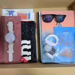 新品 SEKAI NO OWARI 非売品 クリアバッグ ライブグッズ セカオワ