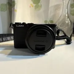 Panasonic LUMIX DMC-GM1S 12-32mm レンズキット - メルカリ