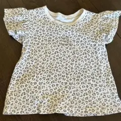 Item thumbnail for item 2254be34-6487-4386-9719-78da608bd2cb