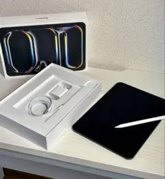 美品 iPad Pro 11 M4 256GBセルラー + Pencil Pro