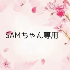SAMちゃん スクイーズ アメステ