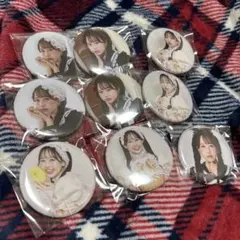 り*ん様 FRUITS ZIPPER 松本かれん 缶バッジセット