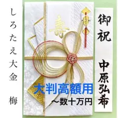 Item thumbnail for item dc5585b6-0342-40d9-996b-0d03621058b5