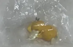 韓国限定 ポケモンモンスターボールソーダ フィギュア コダック