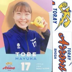 Item thumbnail for item 2f7780f6-8491-4f1f-95c9-ee664752f436