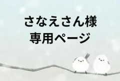 さなえさん様　専用ページ