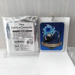 ツイステッドワンダーランド　ブラインドアクリルキーホルダー　イデア　制服