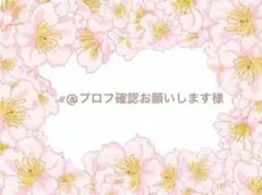 専用ページ⭐️クレイケーキ*マカロンタワー