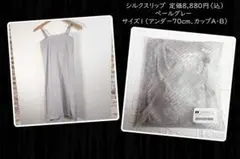 A70・B70　8880円　カップ付きシルクスリップ　ディランジュ　ディノスのサムネイル