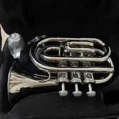 2026年最新】ポケットトランペットの人気アイテム - メルカリ