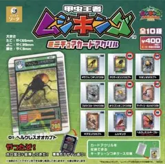 激レア　ムシキング筐体上部パネル　サンプルカード 激レア ムシキング筐体上部パネル サンプルカード - メルカリ