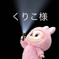 くりこ様 リクエスト 2点 まとめ商品