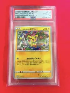 2007年 ピチュー PSA10 2025年最新】いたずら好きのピチュー psa10の人気アイテム