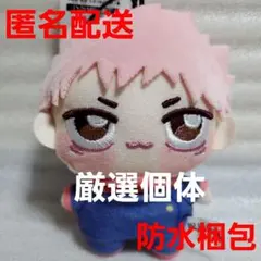 2025年最新】ちょぴぬい 虎杖悠仁の人気アイテム - メルカリ