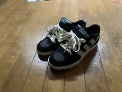 Item thumbnail for item cc453737-aed7-430c-9a07-342480a25789