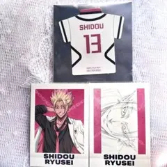 ブルーロック展 入場特典 士道龍聖 ぱしゃこれPREMIUM エゴ展