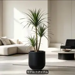 植木鉢 鉢カバー ブラック 16L 丸型 プラスチックのサムネイル