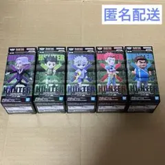 HUNTER×HUNTER ワールドコレクタブルフィギュア ハンター試験　5種