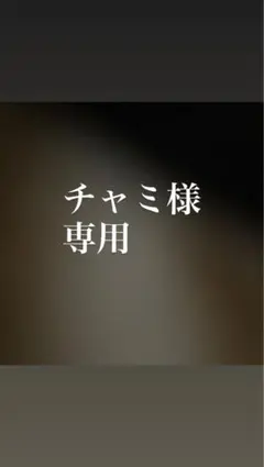チャミ様専用
