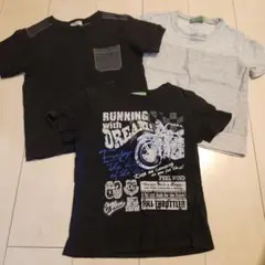 コムサフィユ シンプルTシャツ 3枚セット