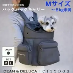 DEAN & DELUCA バックパックキャリー Mグレー