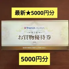 最新 ヤマダ電機(ヤマダデンキ)　株主優待券　5000円分