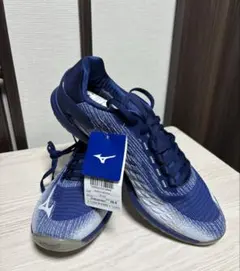 【新品未使用】Mizuno ︎︎TF-01 トレーニングシューズ 29cm