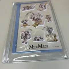 MaxMara ステッカーセット オリジナルケース付き
