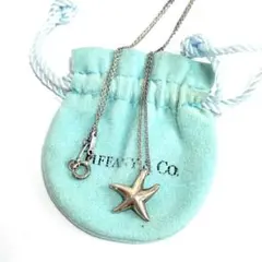 c976 美品 ティファニー スターフィッシュ ネックレス シルバー 925 星