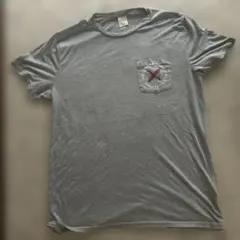 Hollister Tシャツ グレー L