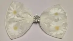 Item thumbnail for item d9ea38d4-2ede-4727-a5ba-a97205b9e124