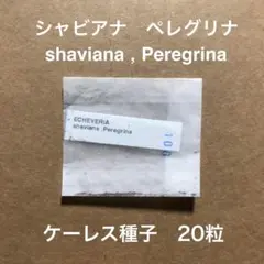 でびお♣様 リクエスト 2点 まとめ商品