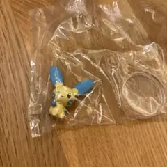 しっぽみてみて　マイナン　ポケットモンスター　ポケモン