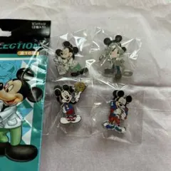 ディズニーリゾート　ピンバッジ