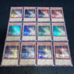 ハム　多忙の為色々遅い様 リクエスト 5点 まとめ商品