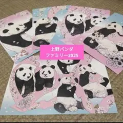 ぞぞ様 リクエスト 3点 まとめ商品