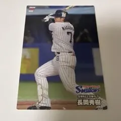 プロ野球チップスカード長岡秀樹選手　2024