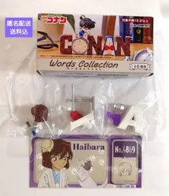 名探偵コナン　ワーズコレクション　灰原哀-APTX4869-