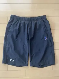 Item thumbnail for item 1256785a-b578-4e72-bda3-68b79e80f508