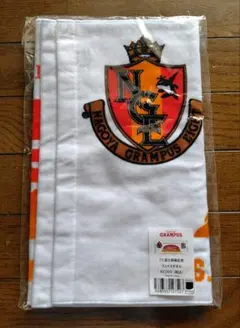 Item thumbnail for item c1ee154f-65ce-43cd-8bbc-d25f8b1903ff