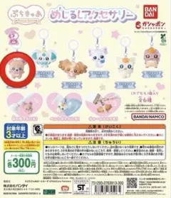 ぷちきゅあ　めじるしアクセサリー
