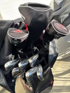 Item thumbnail for item e9352da0-07a3-4355-a8de-3b72e2459a44