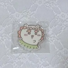 シーサー アクスタ