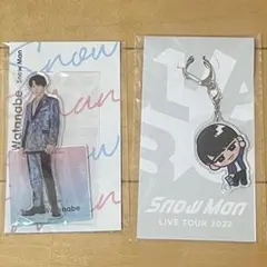 【新品未使用】 渡辺翔太 アクスタ すのチル 2点セット Snow Man