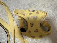 Item thumbnail for item 443dd82c-a7a3-4100-b809-07092e85f781