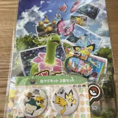 ポケモン 缶マグネット クリアファイル メザスタ セット